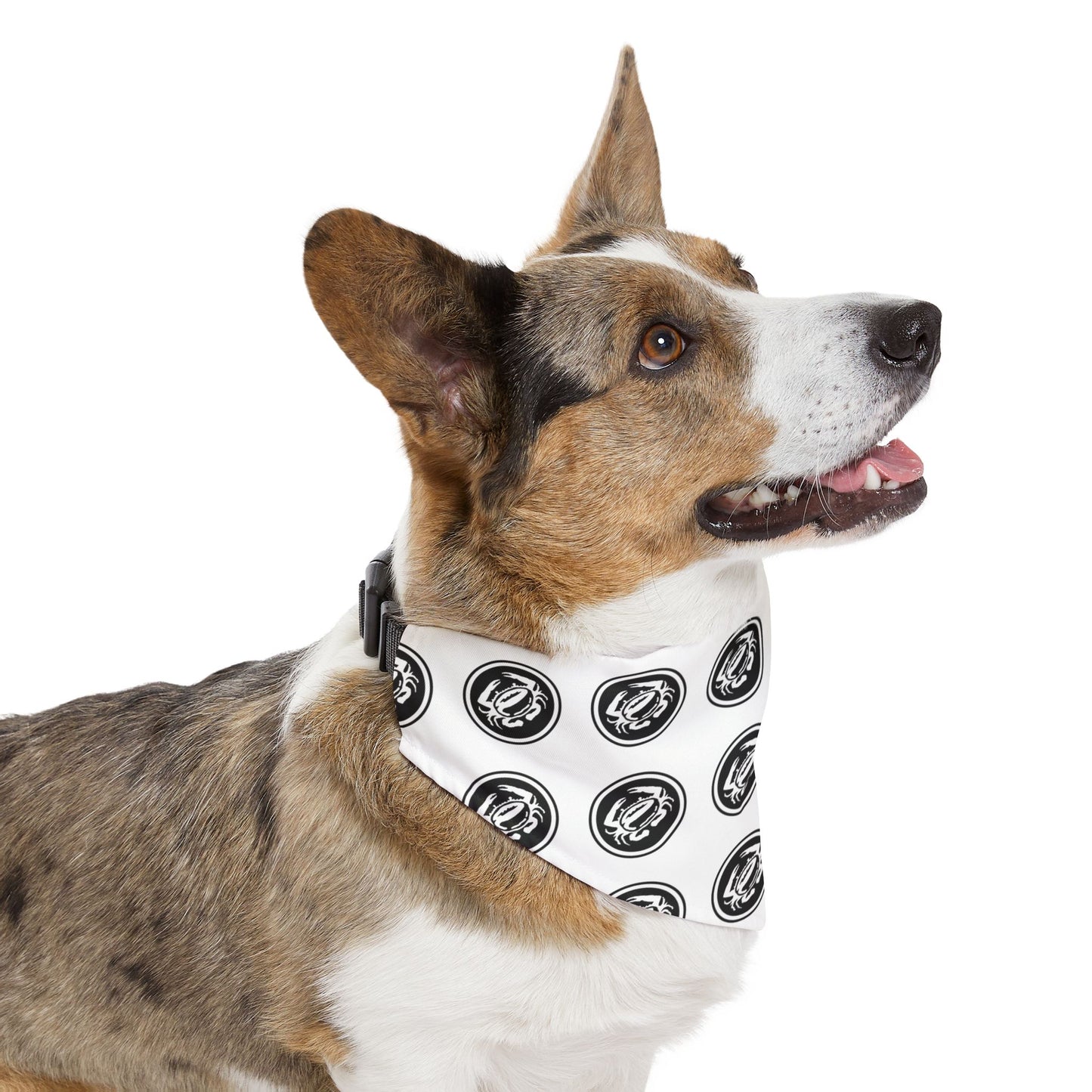 Pet Bandana Collar Zeke's Coffee Crab Bean Logo